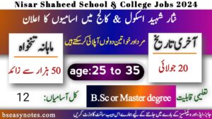 Teaching Jobs 2024 At Nisar School And College Risalpur