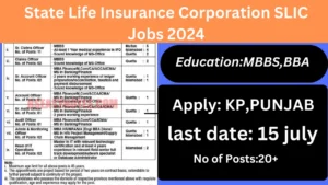 State Life Insurance Corporation SLIC Jobs 2024