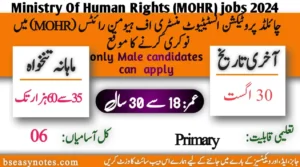 Ministry Of Human Rights Jobs 2024