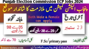 Punjab Election Commission Jobs 2024