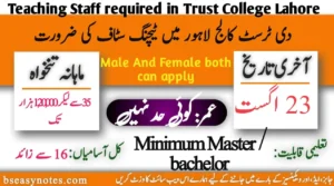 The Trust School Lahore Jobs 2024