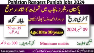 Pakistan Rangers Punjab Jobs 2024