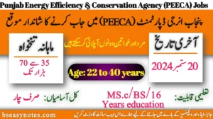 Punjab Energy Efficiency & Conservation Agency (PEECA), Energy Department, Government of the Punjab