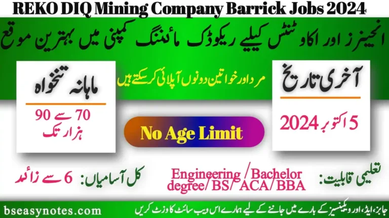 Reko Diq Mining Company Jobs 2024