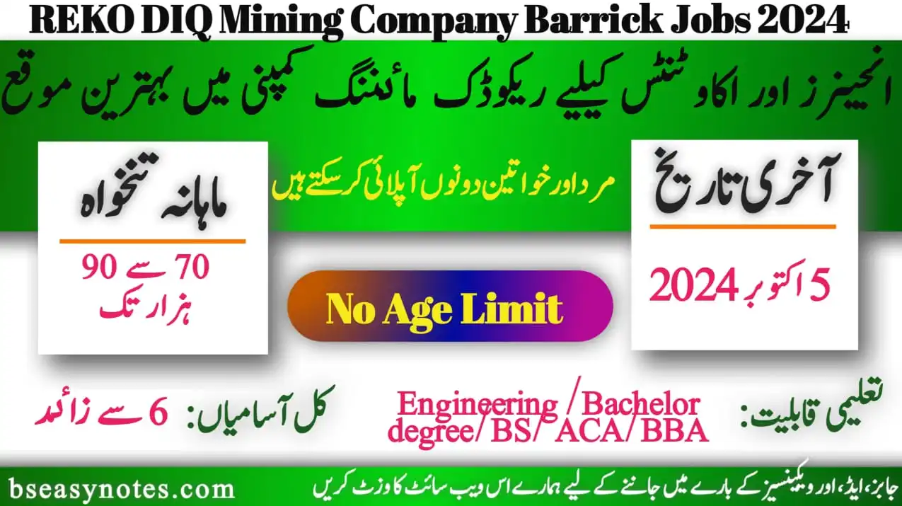 Reko Diq Mining Company Jobs 2024