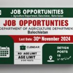 Provincial Health Department Balochistan Jobs 2024