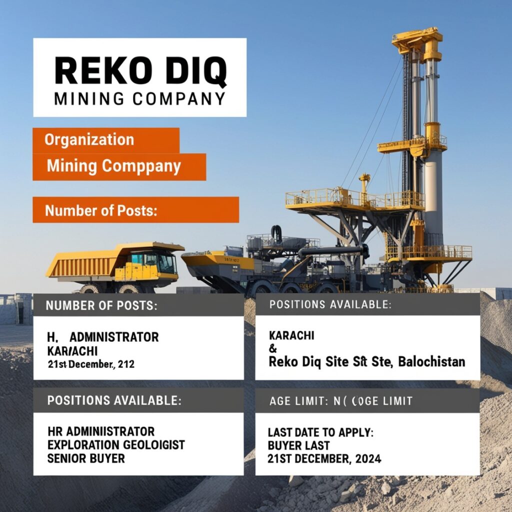 Reko Diq Mining Company 2024