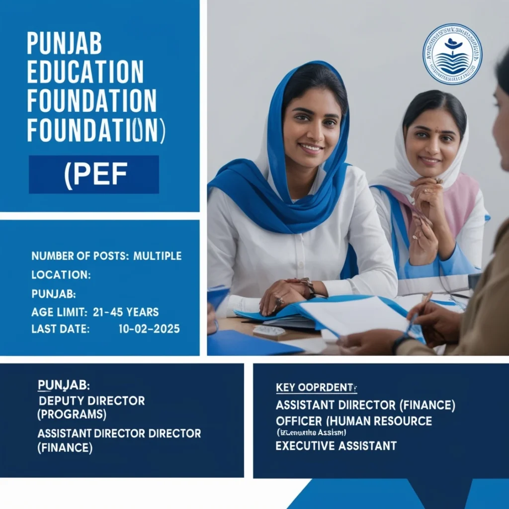 PEF Jobs 2025